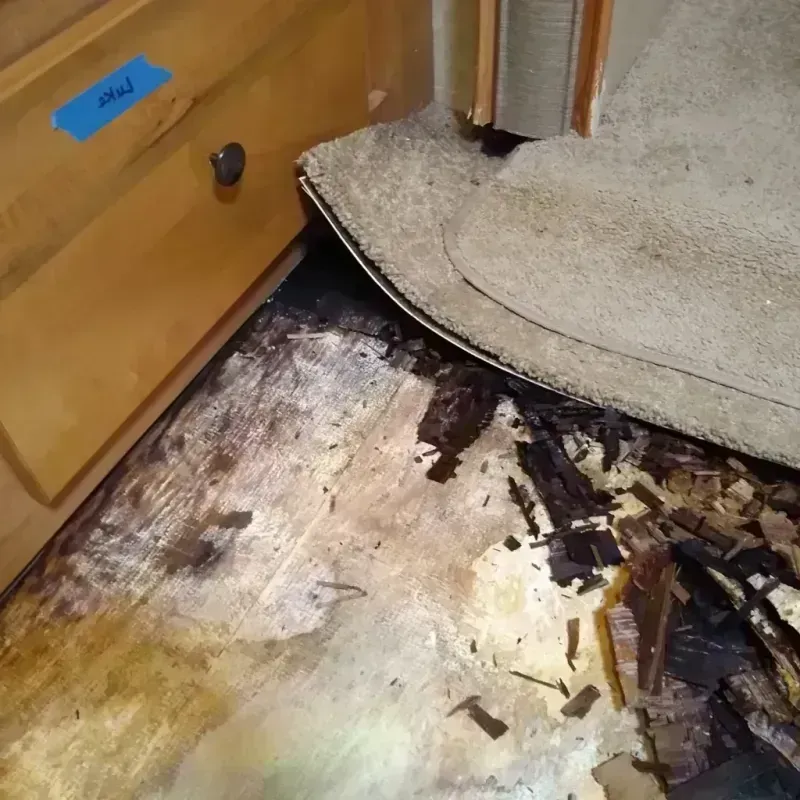 Best Wood Floor Water Damage Service in Willoughby Hills, OH